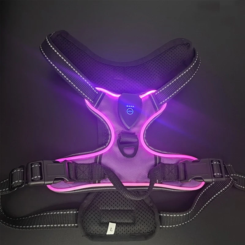 led pet harness