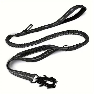 Bungee Dog Leash Bungee Dog Leash