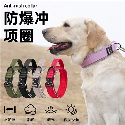 Collars de gossos resistents per a gossos grans Què buscar